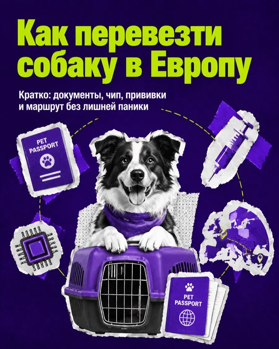 GPT Image и ChatGPT Image для визуального контента